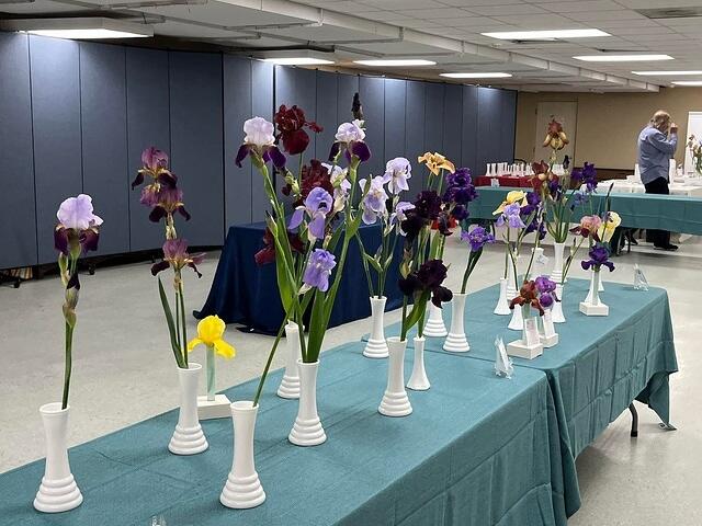 2022 CIS Iris Show 3