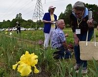 Drum's Garden Tour