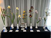 Awards Table