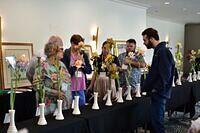 Iris Show 3