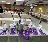 2025 Spring Iris Show