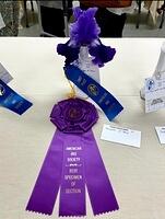 Best Specimen of Section